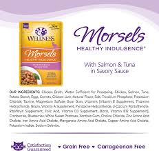 Wellness Healthy Indulgence Morsels With Salmon Tuna In Savory Sauce Grain Free Wet Cat Food Pouches 3 Oz Case Of 24