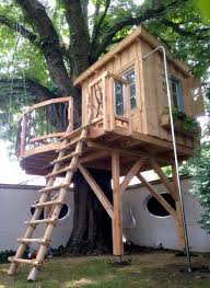 It's possible to extend the platform away from the tree and support it on posts to provide more room for a different type of structure. Best Crooked Tree House Design Ideas Frugal Living Tree House Diy Tree House Designs Tree House Plans