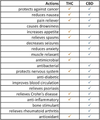 Cbd Benefits For Muscles