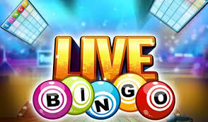 Live Bingo Spelen Met Live Chats Nu Ook Online