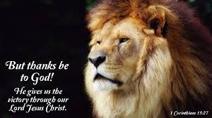 Pin On Animal Pictures With Bible Verses