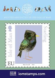 Matt Sewell Sewell Bird Illustration Animal Illustration