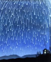 Upcoming Exhibition “After The Flood” by Faryn Davis of Fernworks