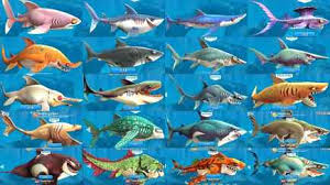 Hungry Shark Download Apk