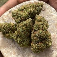 It has to be supported by. Hemp Flower Top 10 Cbd Buds Online In 2021 Big Easy Magazine