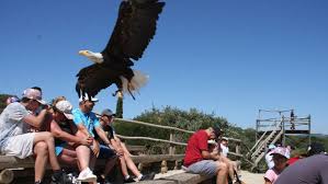 Photo Au parc animalier de La Barben les vacances riment ... - La Provence
