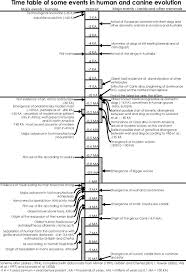 Triton World Time Table Of Some Events In Human And Canine