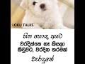 Maybe you would like to learn more about one of these? Sinhala Whatsapp Status Duka Hithena Adare Mp4 Hd Video Hd9 In