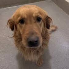 ✓ UPDATE: No Longer