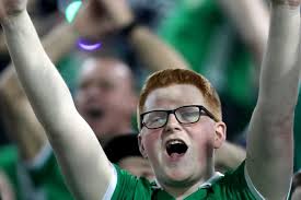 In pictures: Northern Ireland's Green and White Army descends