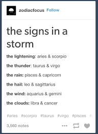 Pin On Zodiac Signs