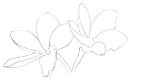 Maybe you would like to learn more about one of these? 13 Gambar Sketsa Bunga Yang Bagus Mudah Ditiru Pemula