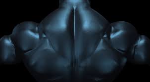 La fonte musculaire du haut du corps ok mais vous avez dû vous muscler au niveau des cuisses et des jambes avec la course à pied. Comment Eviter De Perdre Sa Masse Musculaire Lors D Une Sech Optigura