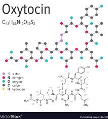 Oxytocin Molecule Tattoo Molecule Oxytocin Tattoo In 2020 Molekul Tattoo Tatowieren Modell