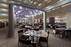 420 Friendly Hotels Denver Colorado My 420 Tours Jacuzzi Spas Denver Hotels Hotels Room