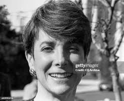 55 Pan Frances Stock Photos, High-Res Pictures, and Images