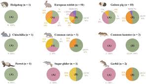 Frontiers | Non-traditional small companion mammals in Spain as reservoirs  of antimicrobial-resistant Staphylococci