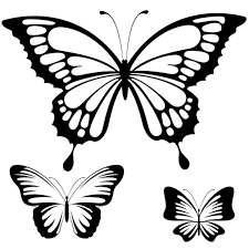 Download this image for free in hd resolution the choice download button below. Papillon Dessin Simple
