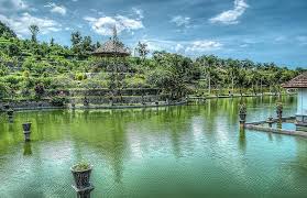 Not forget to mention that once they sanitized the room then they. Wassergarten Bali Konige Wassergarten Indonesien Exotisch Reise Tourismus Asien Garten Wasser Grun Pikist