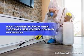 Pest control houston company gulf coast exterminators hopes these tips will help you decide how to choose a reputable pest control company. What You Need To Know When Choosing A Pest Control Company Mr Pest Control
