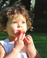 The Developmental Progression of Eating Skills