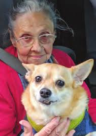 How will Johnston spend $9M in ARPA loot?