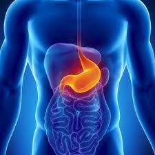 Pe o gastrita, chiar daca e provocata de stres, se poate suprapune un helicobacter pylori. Gastrita Simptome Investigatii Si Tratament