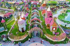 It is more than 11 times the land area of the country. Miracle Garden Und Global Village Dubai 2021 Tiefpreisgarantie