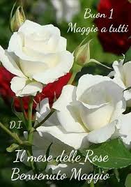 Pin Di Patrizia Su Fiori Immagini Di Fiori Auguri Di Buon Compleanno Auguri Di Buongiorno