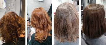 Le blond cuivré plutôt oui ou plutôt non? Coloration Poudre Bio 100 Vegetale Les Couleurs De Jeanne Ayanature