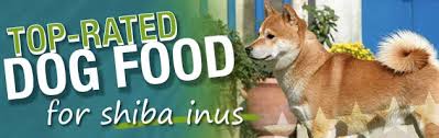 What Is The Best Dog Food For A Shiba Inu