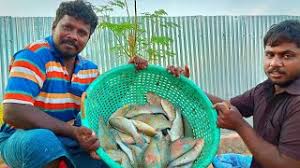 men prepare samayal à®•à¯à®•à®¾à®© à®ªà®Ÿ à®®à¯à®Ÿà®¿à®µà¯