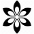 Aesthetic Icon Transparent