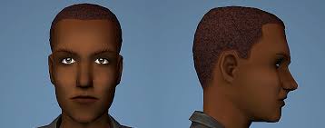 Loves alien sims 👽 — Desiderata Valley Genetically Correct Premades -...