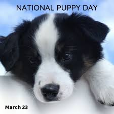 It's a day that's meant to raise awareness about puppy mills and to get people to consider adoption, according to nationaltoday.com. National Puppy Day 3 23 21 Orthodontic Blog Myorthodontists Info