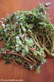 Purslane is a succulent, so it adds wonderful texture to various raw dishes (our favorite way to eat. Purslane Dal Recipe Paruppu Keerai Recipe Kulfa Dal Recipe Chef In You