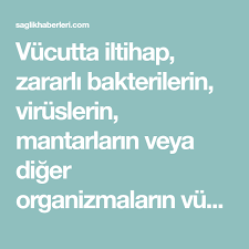 Vucuttaki Iltihabi Atan Besinler Saglikli Yasam Tarzi Dogal Receteler Evde Hazirlabilen Ilaclar