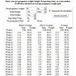 Weight Gain Chart Pregnancy