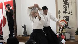 Aikido is very different than boxing or mixed martial arts and is even different from other traditional asian martial arts like karate, taekwondo, judo, jujitsu, or kendo in several ways. Aikido Doshu Demonstration Aikikai Hombu Dojo Kagamibiraki 2019 Youtube