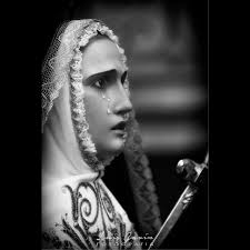 Luis Gavín Fotografía