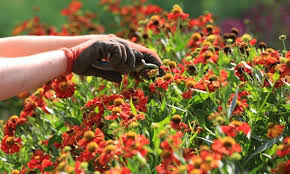 Check spelling or type a new query. Wer Muss Den Garten Mahen Gemeinden Mittelbayerische