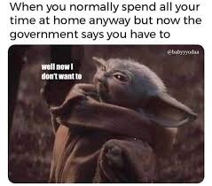 Pin By Sue Clark On Baby Yoda Yoda Funny Really Funny Memes Yoda Meme