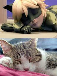 Find The Differences Miraculous Ladybug Memes Miraculous Ladybug Miraculous Ladybug Comic