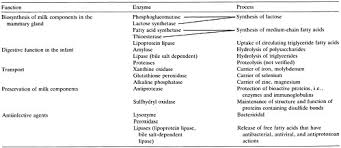 6 Milk Composition Nutrition During Lactation The