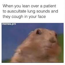 Pin By Cady Swagger On School Career Nurse Humor Medical Humor Nurse Memes Humor