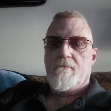 Tips for making cat colony friendlier for adoption