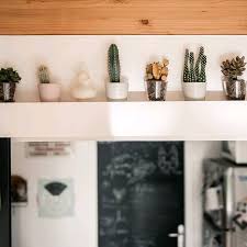 Collectionnite Chez Nous Au Dessus De La Porte Coulissante De La Cuisine Il Y A Notre Collection De Cactus Et Succulent En 2020 Jolie Photo Instagram Photos