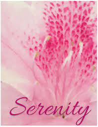 Serenity is also the name of the movie made from the series. Pin On Baby Names