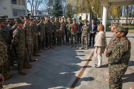 Image result for Tan 2021 Fleet