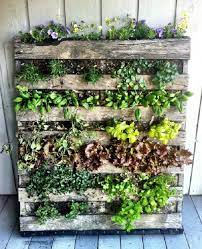 Have you always wanted a herb garden but have no idea where to start? 8 Balcony Herb Garden Ideas You Would Like To Try